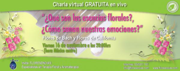 CONFERENCIA GRATUITA ¿Qué son las esencias florales?  ¿Cómo sanan nuestras emociones