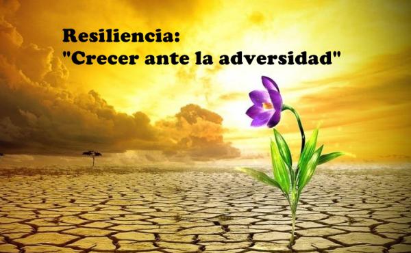 LA RESILIENCIA