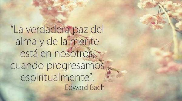 Conozca más sobre las flores de bach