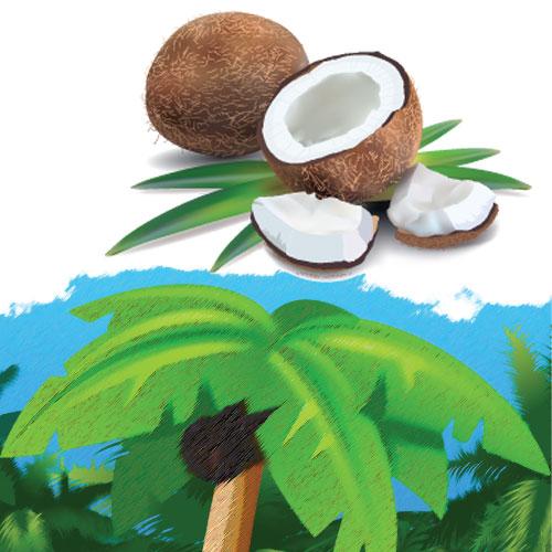 ACEITE DE COCO ORGÁNICO