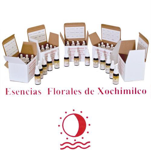  KIT FLORES DE XOCHIMILCO