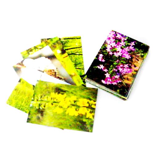 Tarjetas Flores de Bach