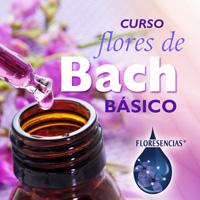 CURSO BÁSICO DE FLORES DE BACH