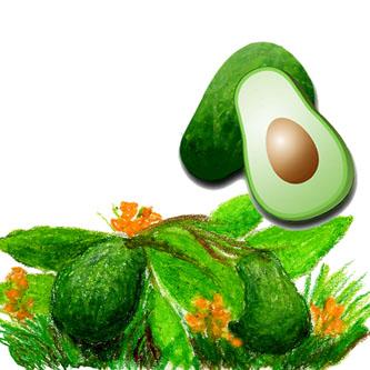 ACEITE DE AGUACATE